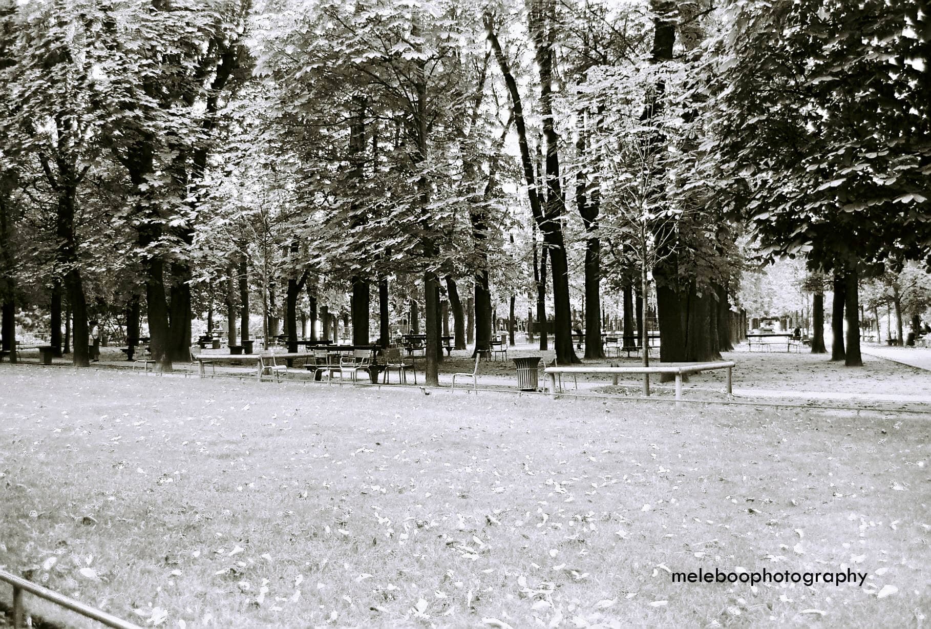 deserted park in France