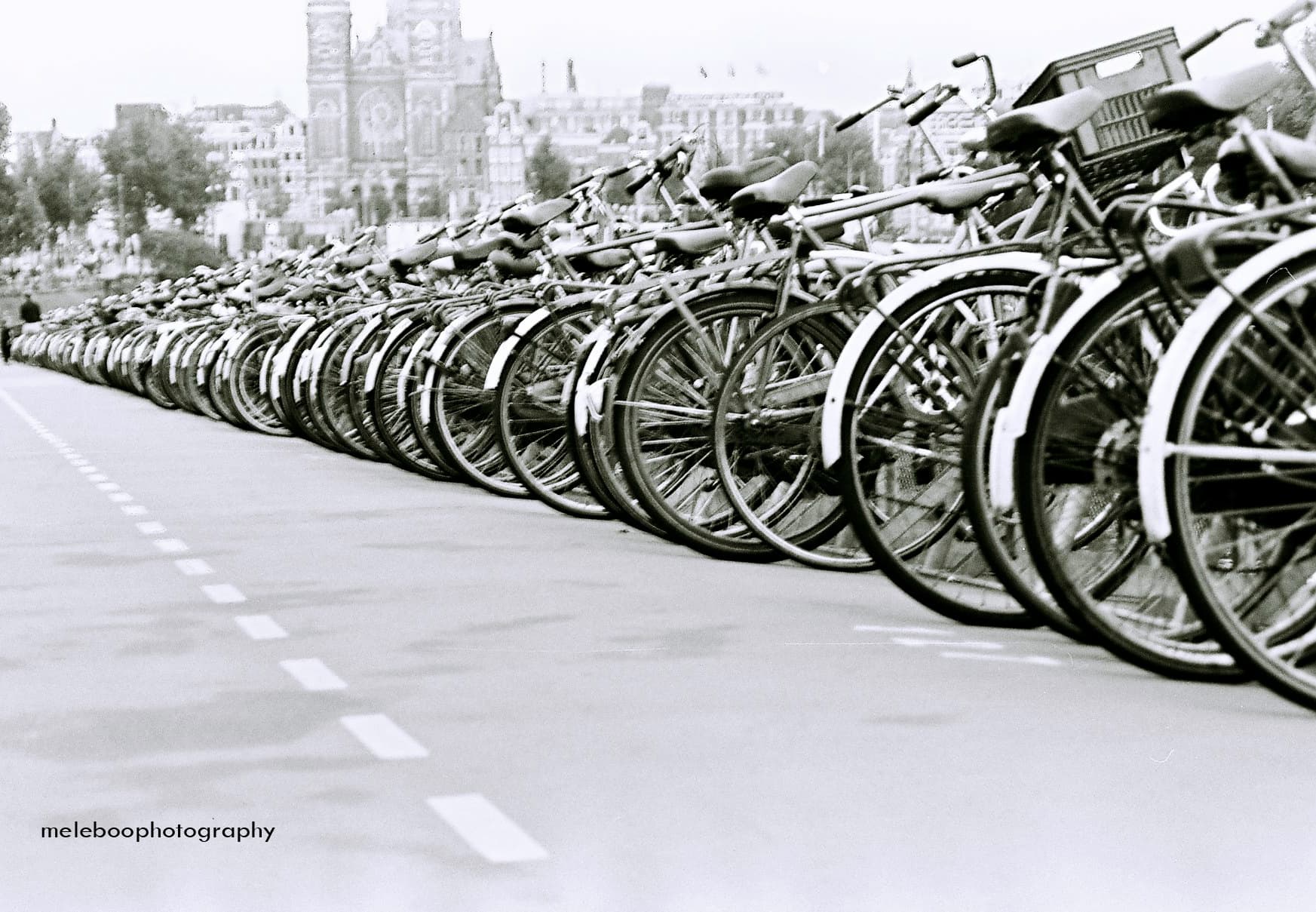phalanx of bicycles