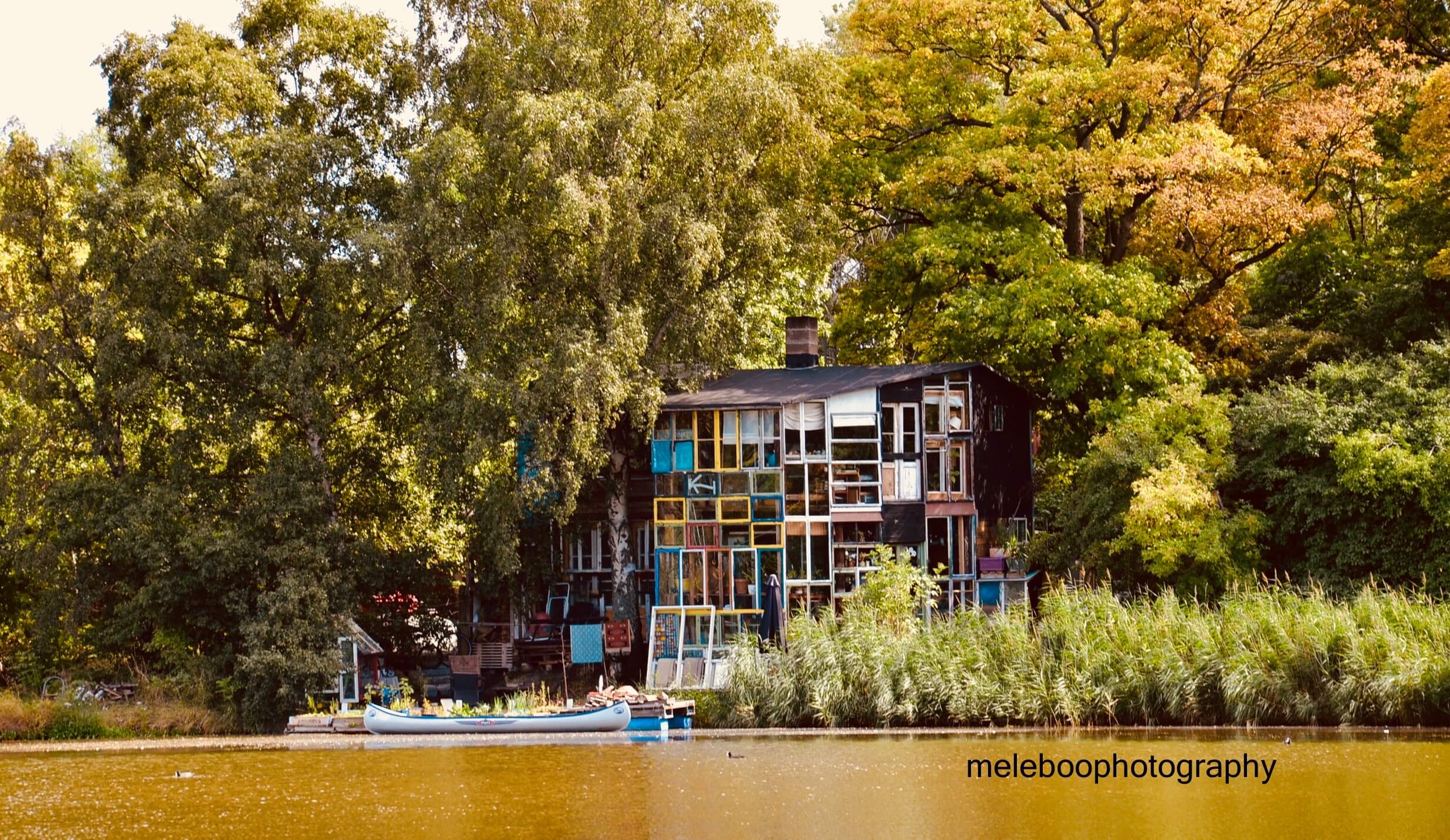 house with many windows
